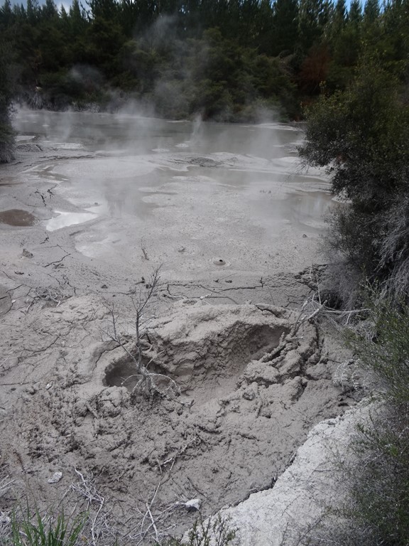 DSC06354 - Muddy pool [1024x768]